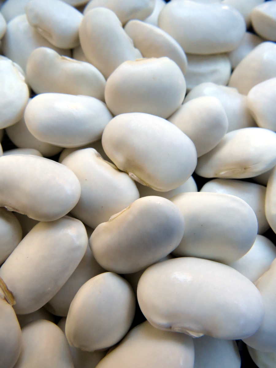 Moldanvanesti Buffalo pole bean